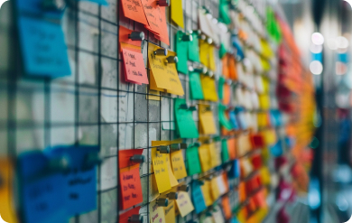 Project Management